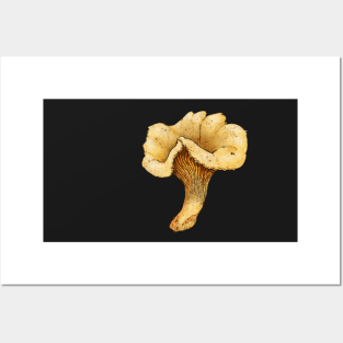 Chanterelle Posters and Art